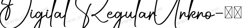 Digital RegularUnkno字体转换